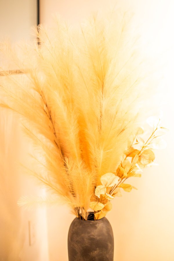 Decorative dried grasses in the living room
